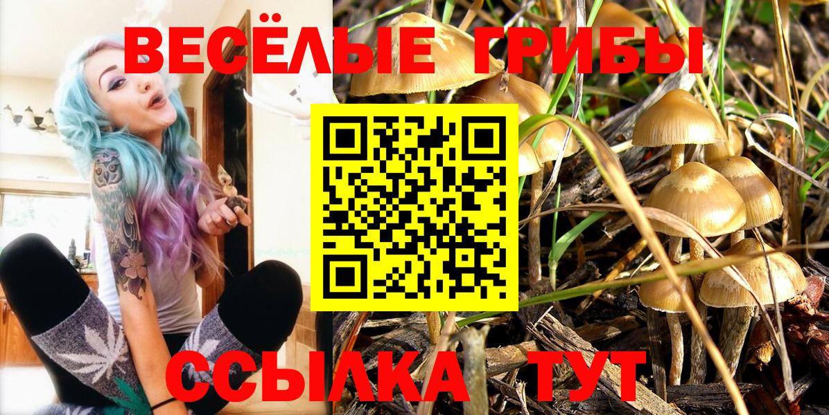 Псилоцибиновые грибы прущие грибы  Вход с VPN  Трёхгорный  Псилоцибиновые грибы прущие грибы 